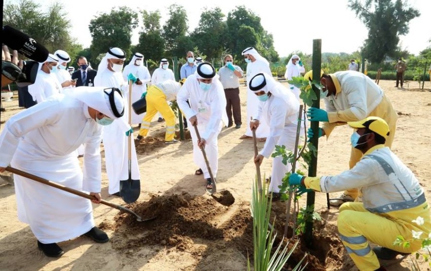 جهود ومبادرات رائدة.. إنجازات الإمارات للحفاظ على البيئة نموذج فريد بالمنطقة
