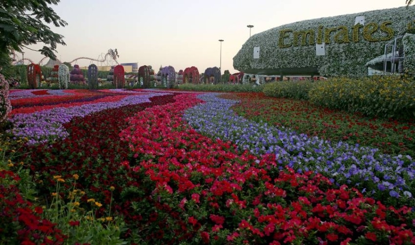 شراكة بين البلدية و«براند دبي» لإعادة تصميم حدائق بمشاركة المجتمع الإبداعي