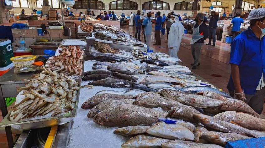 66% ارتفاع أسعار بعض الأسماك في أبوظبي لزيادة الإقبال وتراجع الصيد
