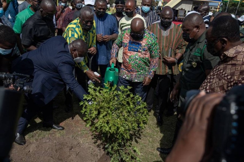غانا تزرع 5 ملايين شجرة في يوم واحد لمكافحة آثار إزالة الغابات