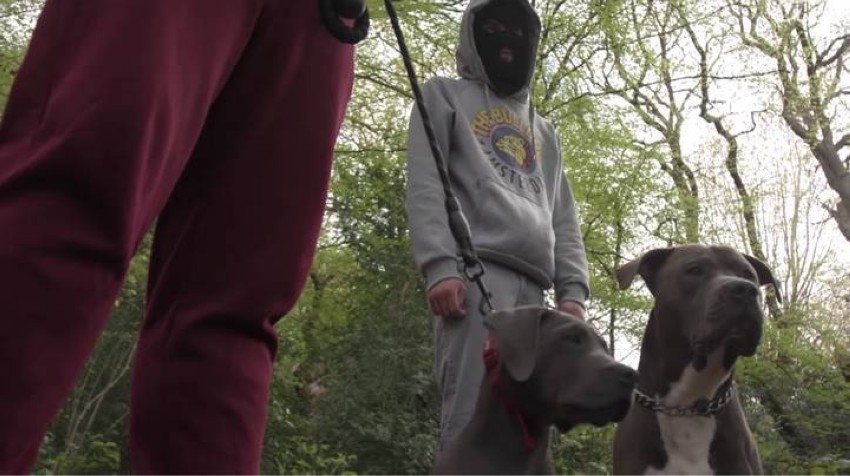 عصابة تحذر أصحاب الكلاب في بريطانيا من «حملة سرقات»
