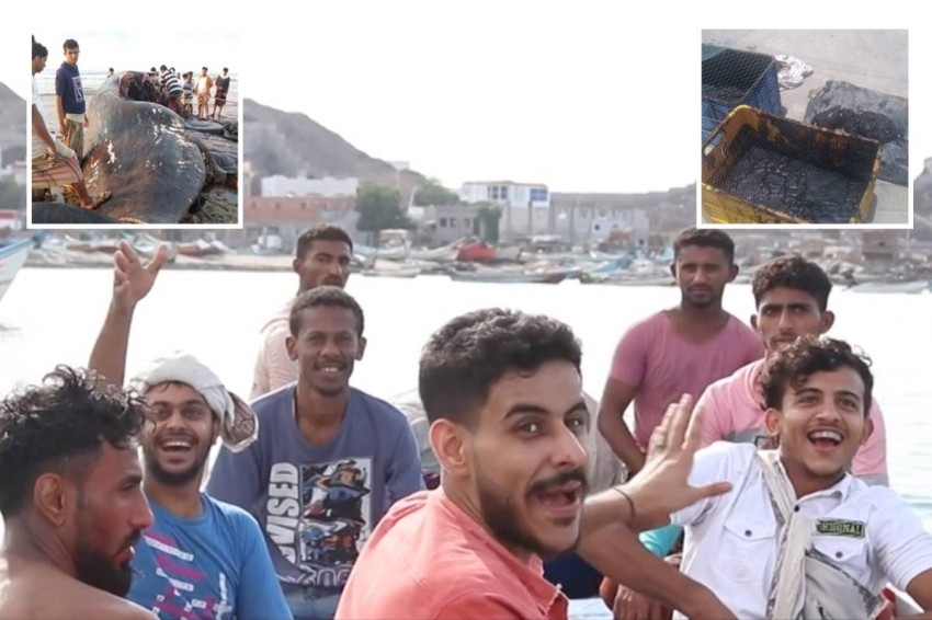 صيادون يمنيون يجنون 1.5 مليون دولار من جوف حوت نافق