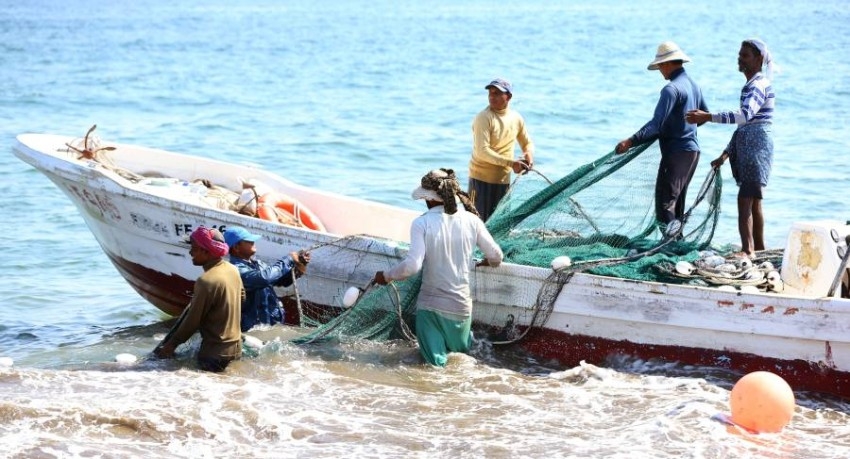 دبي تعتمد استراتيجية تنظيم الثروة السمكية وحظر الصيد بـ«الألياخ»