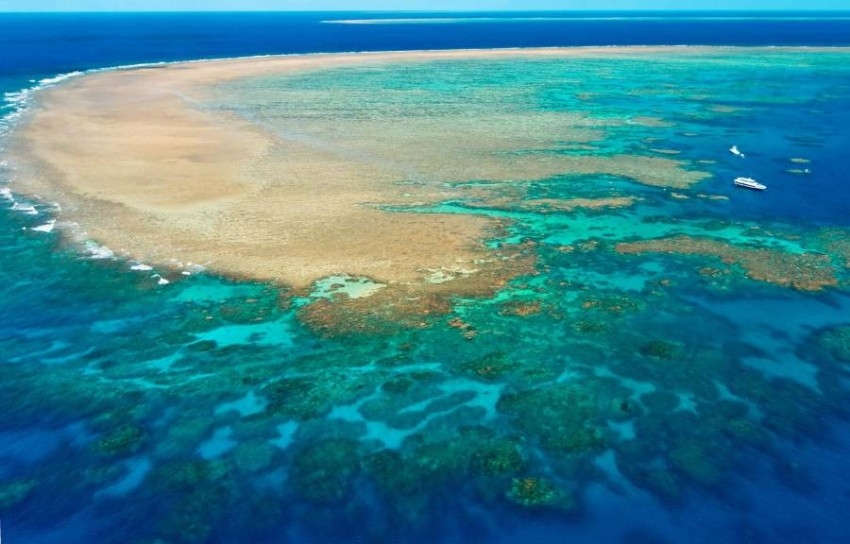 يونسكو توصي بإدراج الحاجز المرجاني العظيم على قائمة المواقع المعرضة للخطر