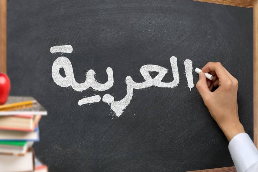 «حليب» و«نعناع» و«أخطبوط».. كلمات استدعاها امتحان «العربية» بـ«ثانوية» مصر.. هل تعرفون جمعها؟