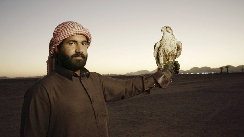 «حلفاء الطبيعة» وثائقي يروي قصة أصغر صقارة سعودية بمهرجان الملك عبدالعزيز للصقور