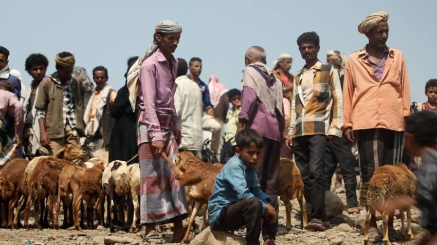 أسواق الأضاحي في اليمن.. حيث الزوار أكثر من المشترين