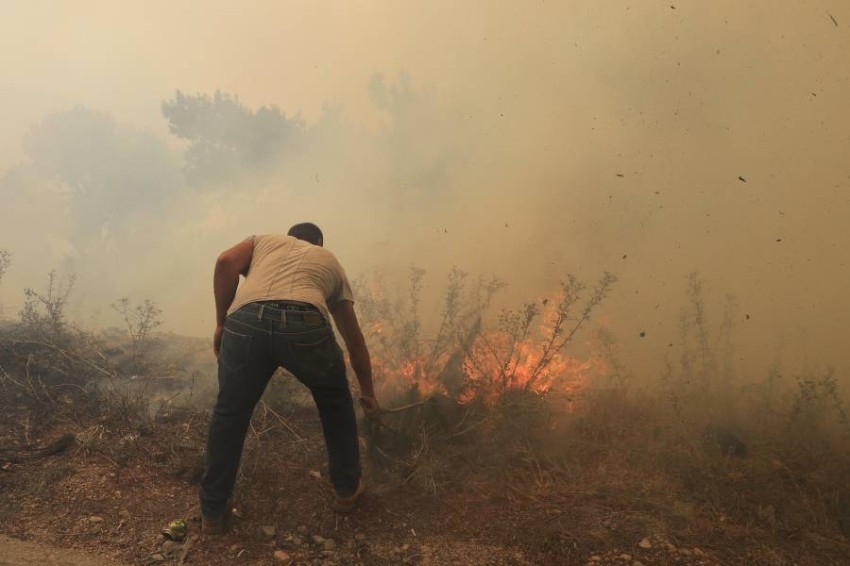 حرائق غابات تستعر لليوم الثاني في لبنان وتمتد لسوريا