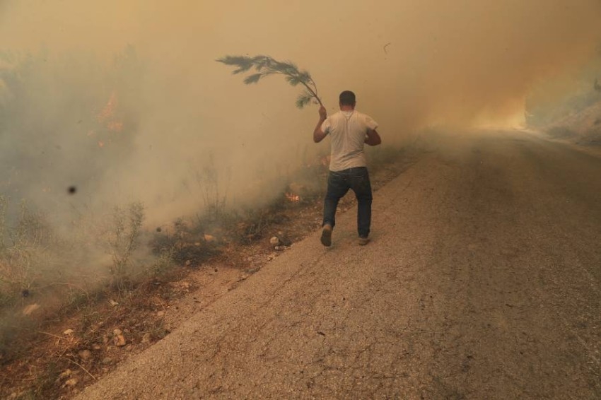 حرائق غابات تستعر لليوم الثاني في لبنان وتمتد لسوريا