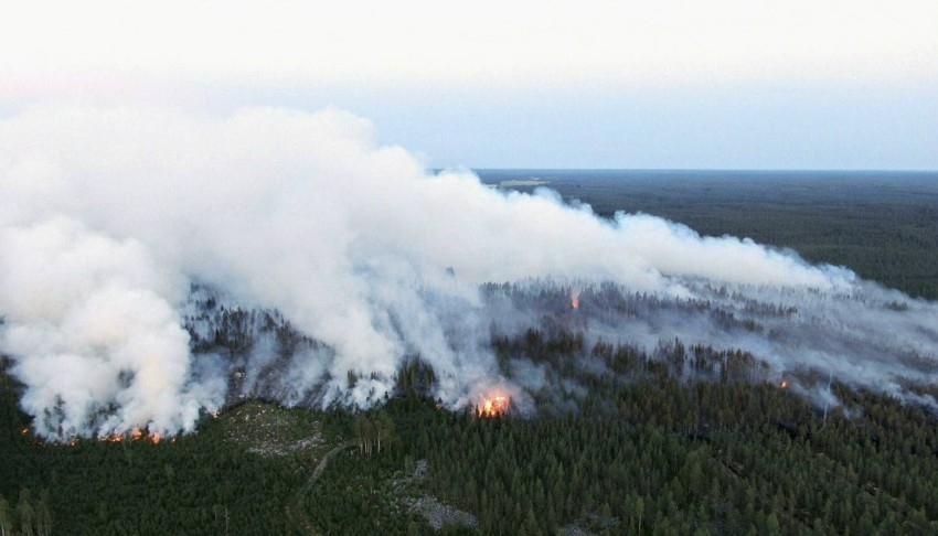 فنلندا تكافح أسوأ حريق غابات منذ خمسين عاماً