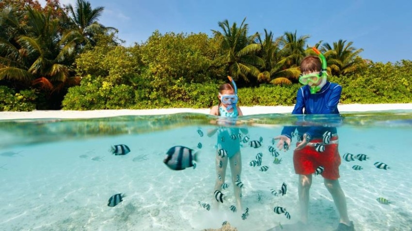 سيلفي مع القرش وشاطئ كل يوم واحتفالات مستدامة في 4 جزر بالكاريبي