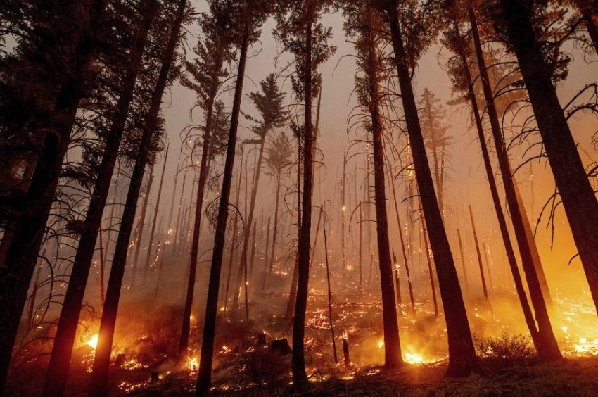 أدلة جديدة.. كيف تساهم حرائق الغابات في ارتفاع إصابات كورونا؟