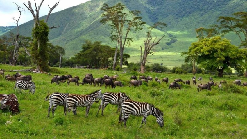 السياحة في تنزانيا.. مناظر خلابة ومغامرات لا تُنسى