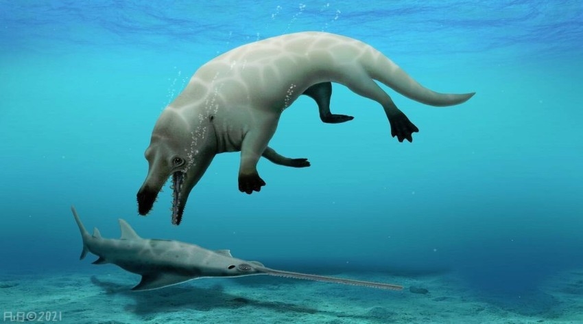 علماء: أحفورة الحوت ذي الأرجل المكتشف في مصر لنوع غير معروف