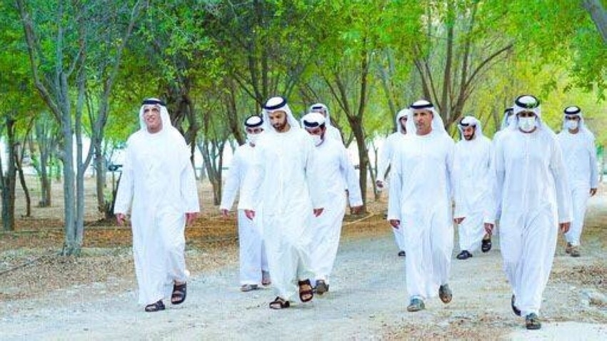 سعود القاسمي يتفقد مزرعة تضم 4000 شجرة زيتون على قمة «جيس»