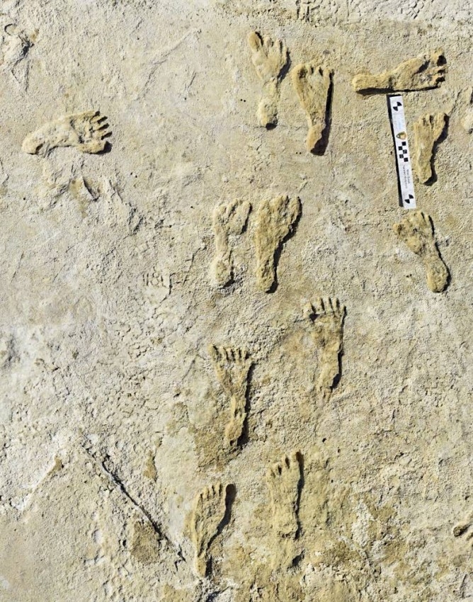 العثور على أقدم آثار أقدام في أمريكا الشمالية بنيو مكسيكو