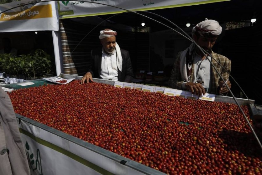 جانب من مهرجان موكا اليمني لصناعة القهوة العربية المقام ب"صنعاء"