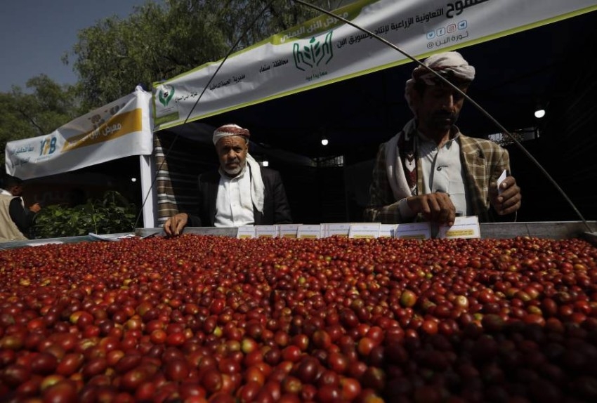 جانب من مهرجان موكا اليمني لصناعة القهوة العربية المقام ب"صنعاء"