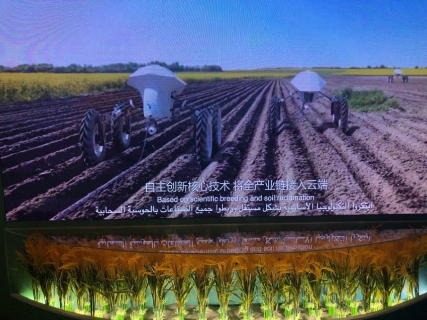 «إكسبو 2020 دبي».. مستقبل الغذاء المستدام للعالم