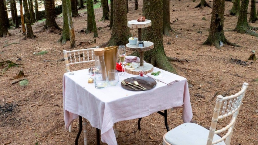 طاولة طعام وسط غابة تثير الحيرة في بريطانيا