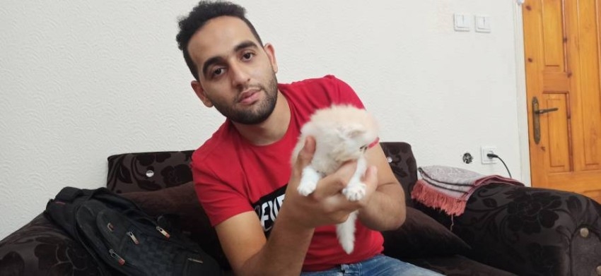 المدهون.. شاب فلسطيني يدلل القطط ويمنحها رعاية صحية