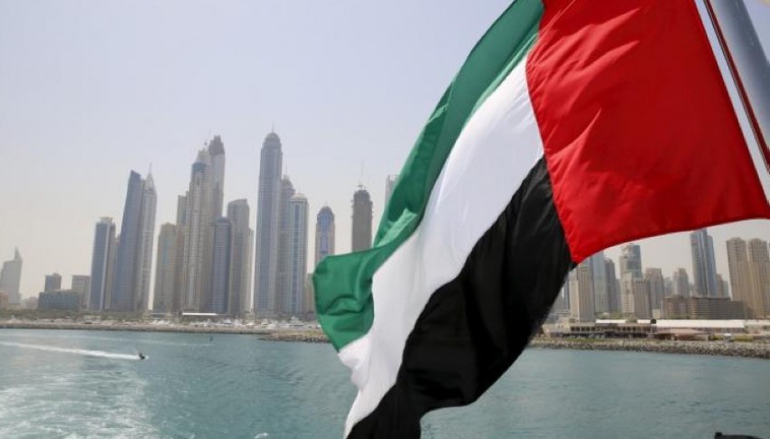 دبلوماسيون عرب: العلم الإماراتي يعبر عن الوحدة العربية
