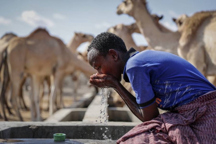 بالصور: الجفاف يضرب كينيا مجدداً
