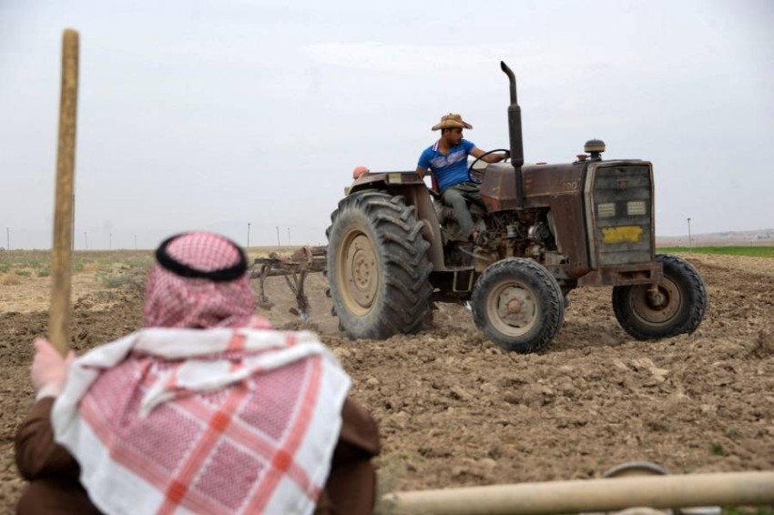 «لا حصاد».. فلّاحو شمال العراق يهجرون أراضيهم بسبب الجفاف