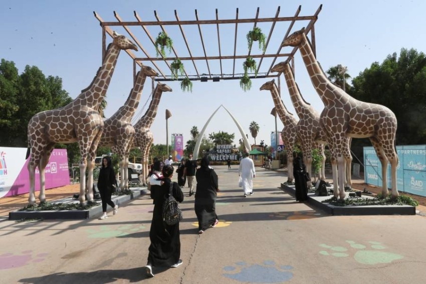 زيارات ل"سفاري الرياض" على هامش فعاليات موسم الرياض بالسعودية