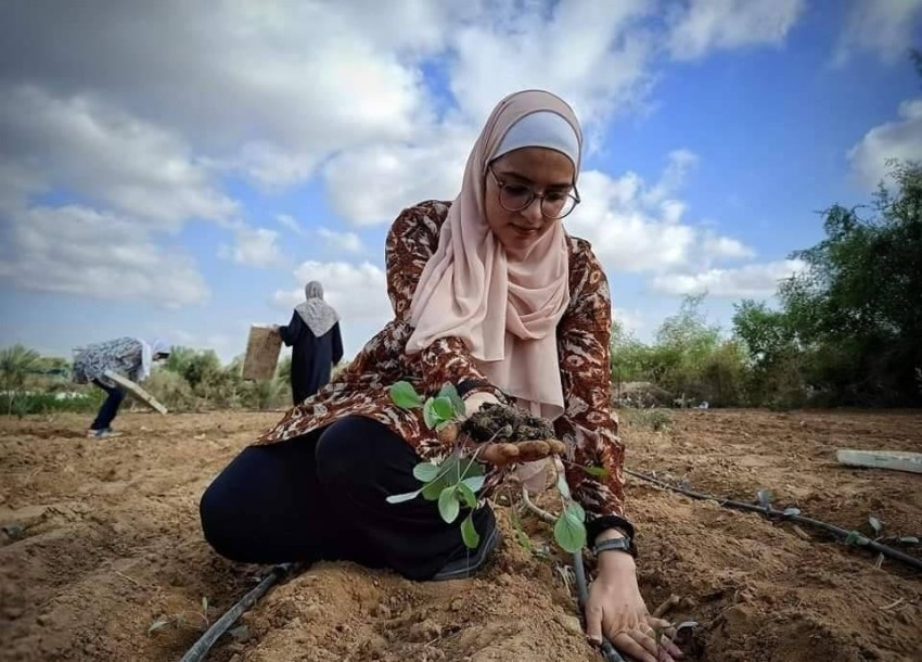 الزراعة تنقذ 4 سيدات فلسطينيات من البطالة