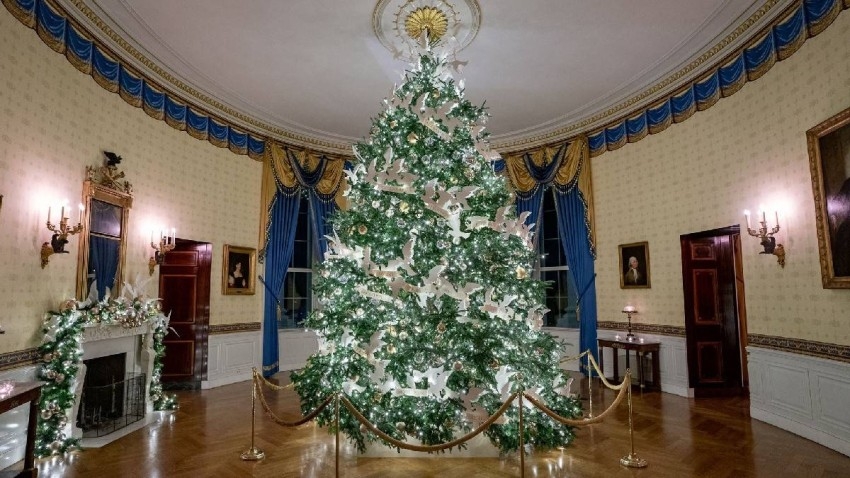 وُصفت بـ«القبيحة».. رواد السوشيال ميديا يحتجون على شجرة كريسماس البيت الأبيض