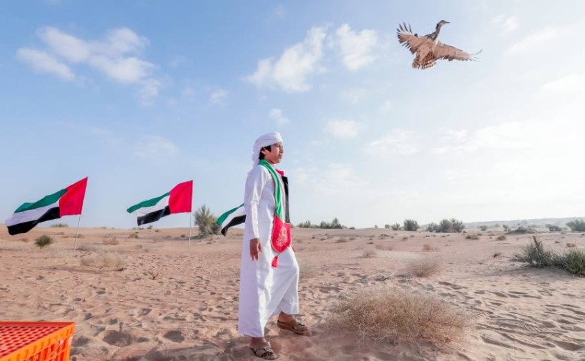 إطلاق 50 طائر حبارى تحمل حلقات مزينة بعلم الإمارات وشعار «الخمسين»