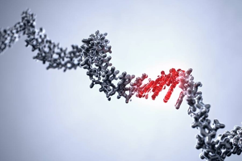 نتائج أولية «واعدة» للقاح مضاد للإيدز يعتمد تقنية الحمض النووي الريبي المرسال