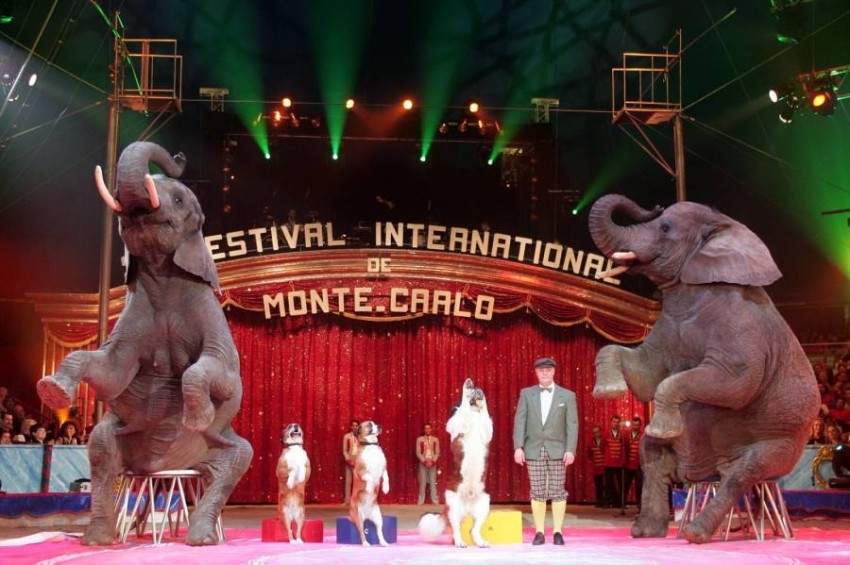إلغاء نسخة 2022 من مهرجان السيرك الدولي في مونت كارلو