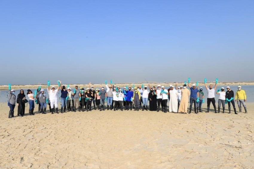 دائرة الاقتصاد والسياحة وبلدية دبي تشاركان في مبادرة زراعة أشجار القرم
