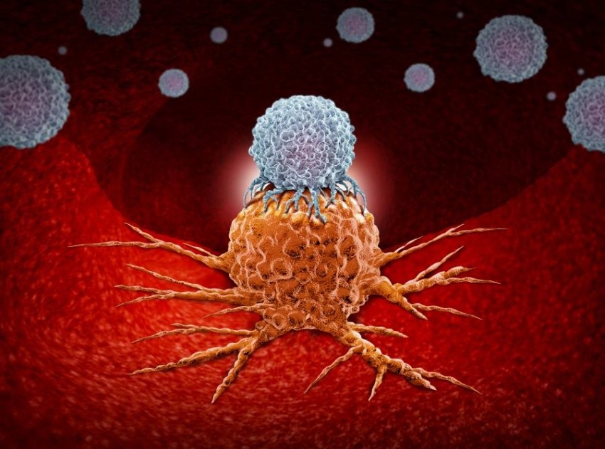 حمض أميني يساعد خلايا سرطان الدم على النمو