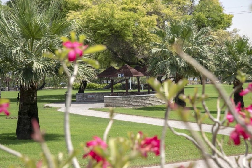 الحدائق والمساحات الخضراء تعزز مكانة دبي كأفضل مدينة للحياة والعمل