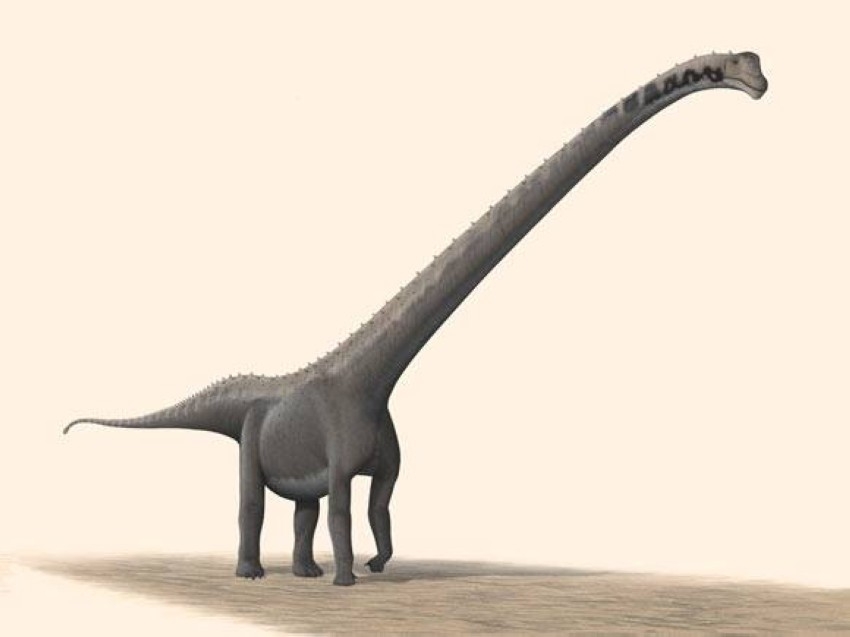 علماء يحددون أنواعاً جديدة من الديناصور طويل العنق