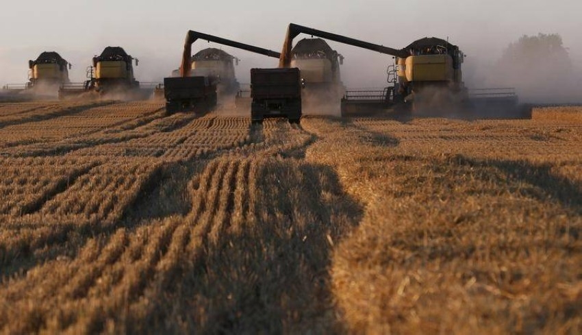 إنترفاكس: سوريا بحاجة إلى استيراد 1.5 مليون طن من القمح سنوياً