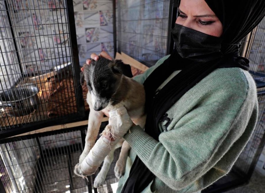 افتتاح أول محمية لإيواء الحيوانات الأليفة المشردة في بغداد