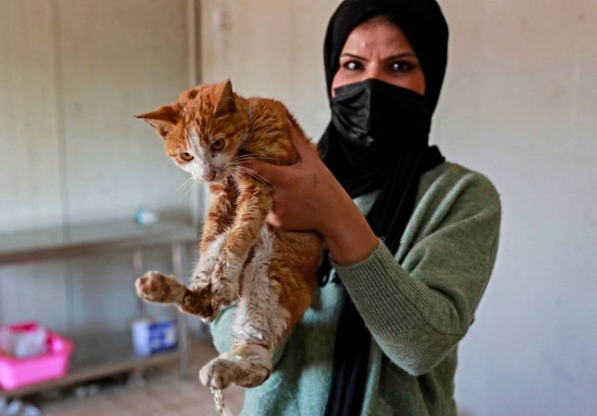 افتتاح أول محمية لإيواء الحيوانات الأليفة المشردة في بغداد