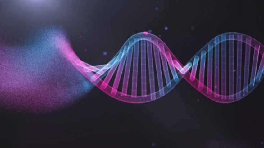 متى تم اكتشاف الجينوم البشري؟