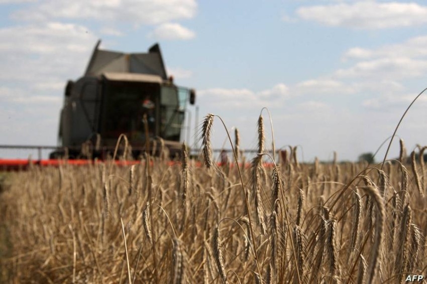 الأزمة الأوكرانية تمزق «سلة القمح» العالمية