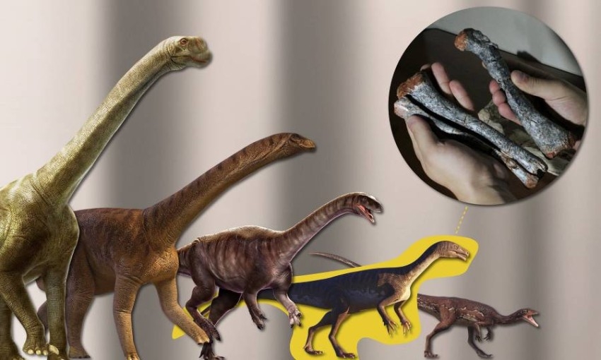 ديناصور عمره 230 مليون عام يكشف «الحلقة المفقودة» في التطور