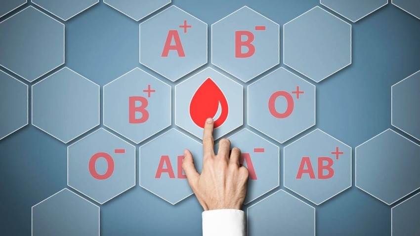 ما هي فصائل الدم عند الإنسان.. وماهي خصائصها؟