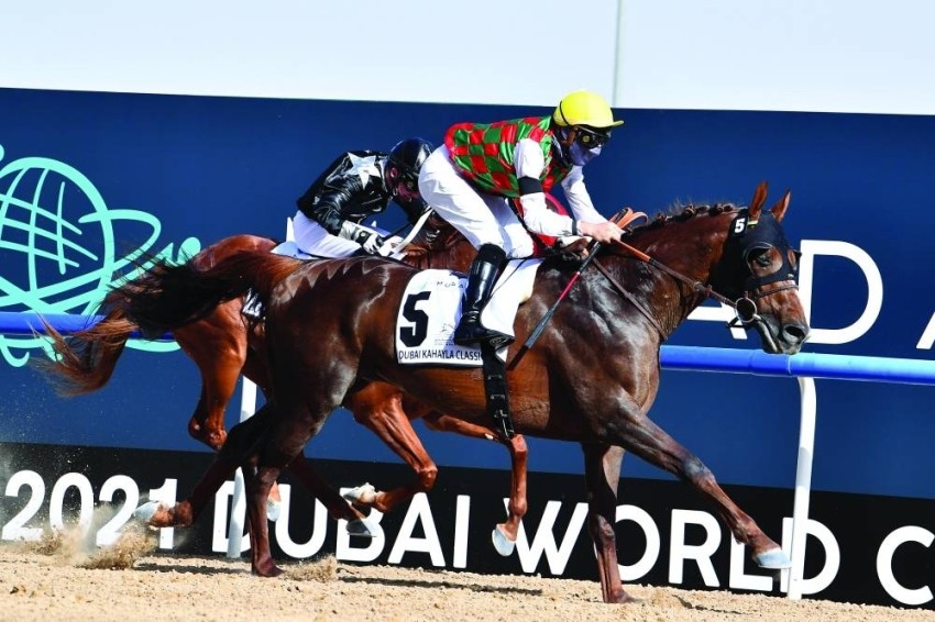 «ريل ويرلد» و«ماجني كور» يقودان خيول الإمارات في كأس السعودية غداً