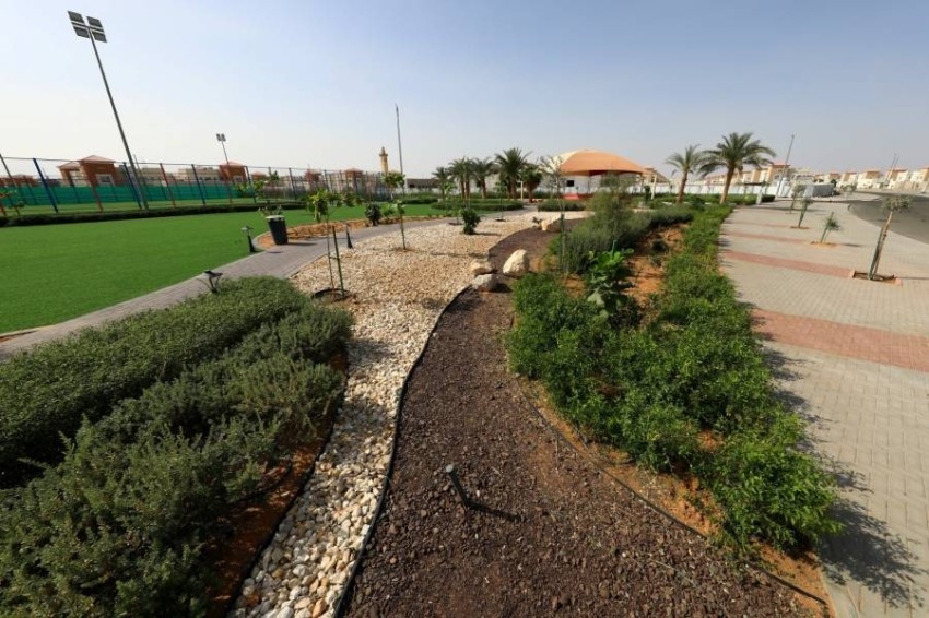 بلدية العين تنجز 146 حديقة ضمن «حدائق جبل حفيت»