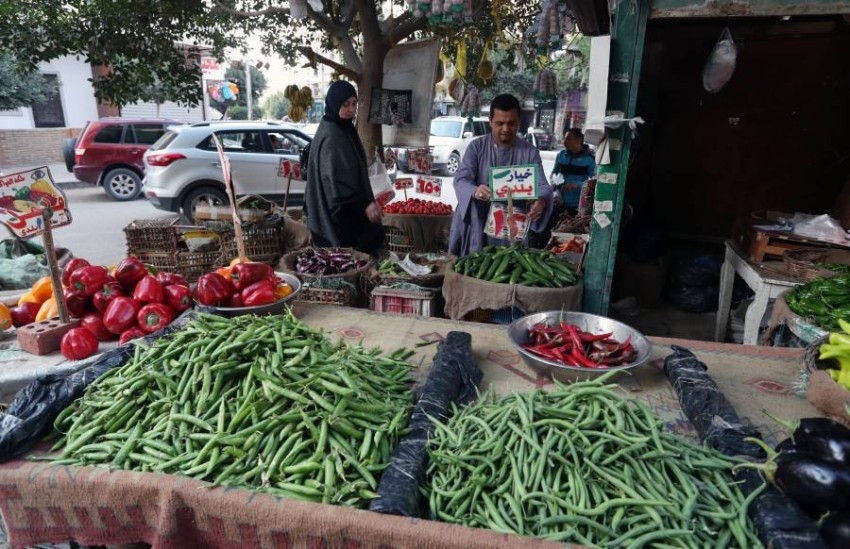 أسواق الخضروات والفاكهة والمواد الغذائية بالقاهرة وارتفاع أسعارها في مصر