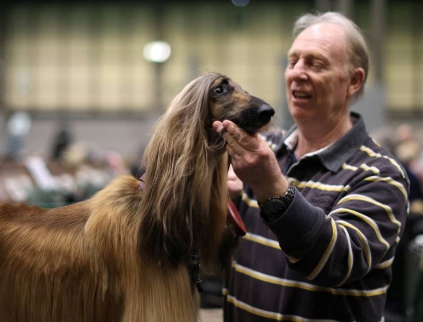 الراقص «دياكيري» يتنافس مع 20 ألف كلب على لقب «كرافتس»