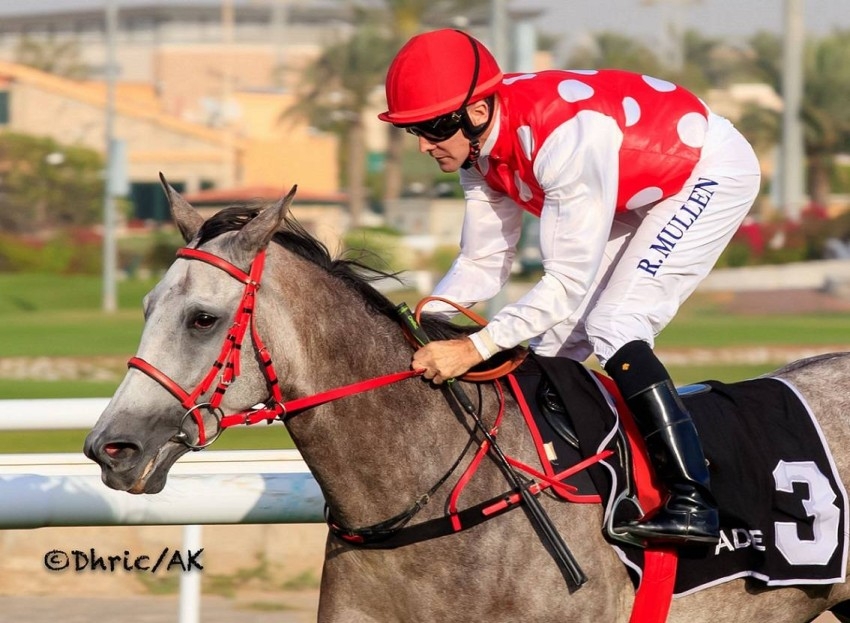 ثنائية لخيول رئيس الدولة في أبوظبي